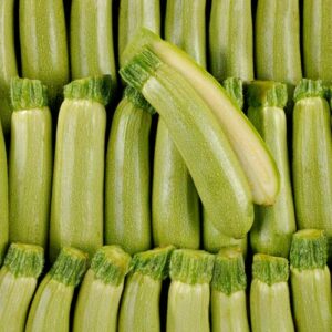 courgette-blanche