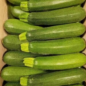 courgette-verte