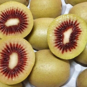 kiwi-rouge