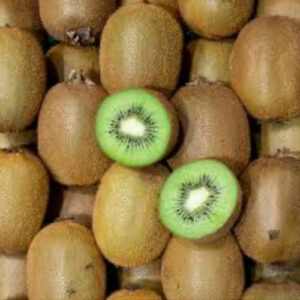 kiwi-vert